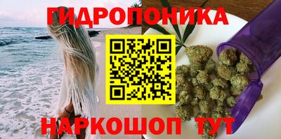 гидропоника Рузаевка
