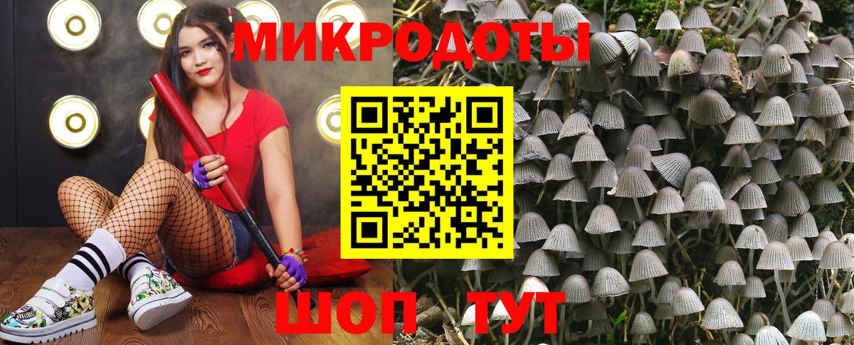 где найти   Вход с VPN  Алейск  Псилоцибиновые грибы прущие грибы  Галлюциногенные грибы MAGIC MUSHROOMS 