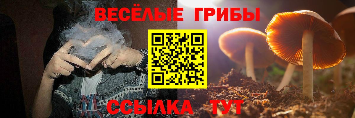 Галлюциногенные грибы GOLDEN TEACHER Алейск